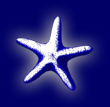 Starfish